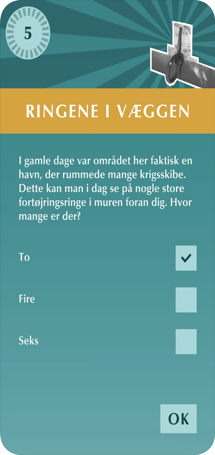 Demokrati Team – screenshot