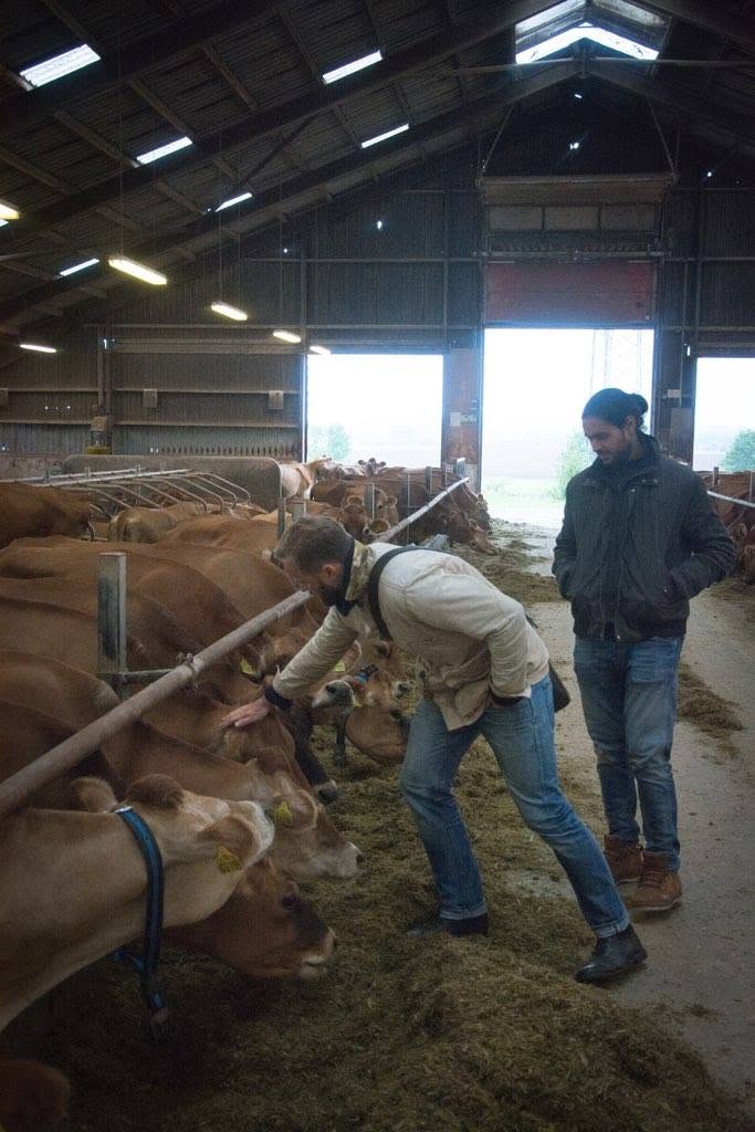 On the farm