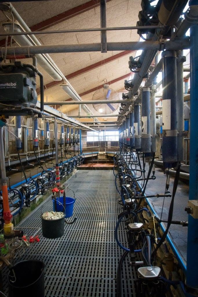 Milking parlour
