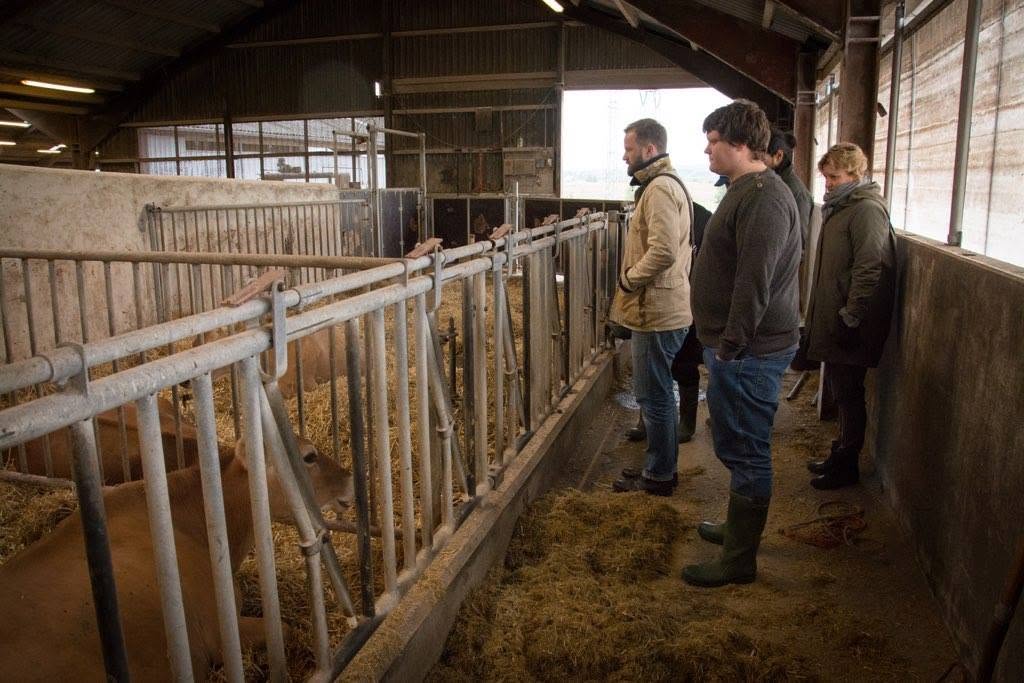 The team on the farm